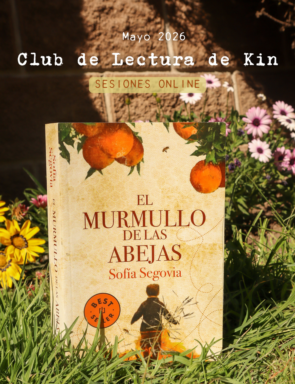 Kit Ilustrado del Murmullo de las Abejas | Kin's Book Club